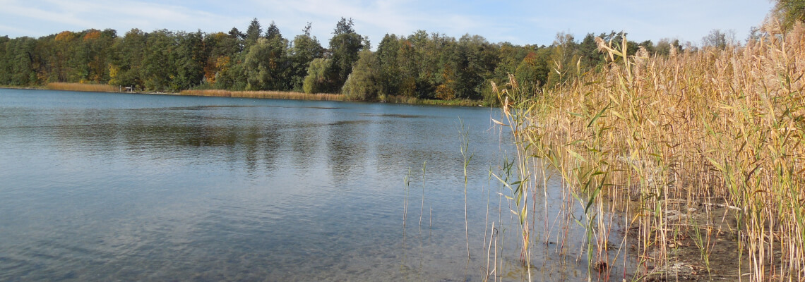 Der Straussee in den Herbstfarben